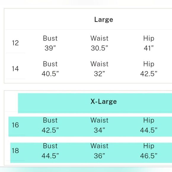 VS Archives Burnout Satin Slip Dress in Lipstick Red Size XL New with tags - Picture 4 of 4